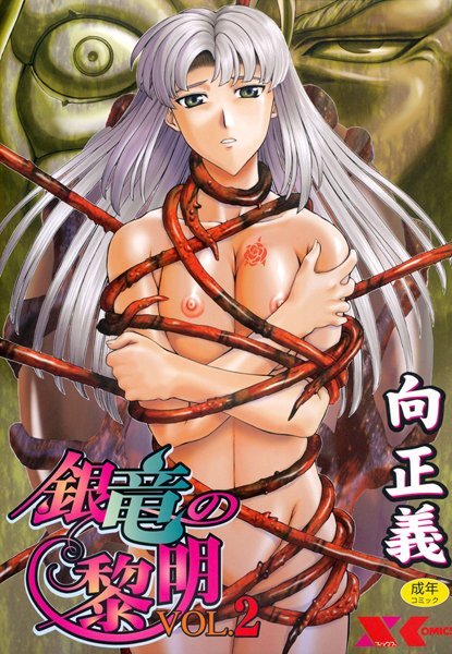 向正義|銀竜の黎明 VOL.2❤ファンタジー 【評価4.88】