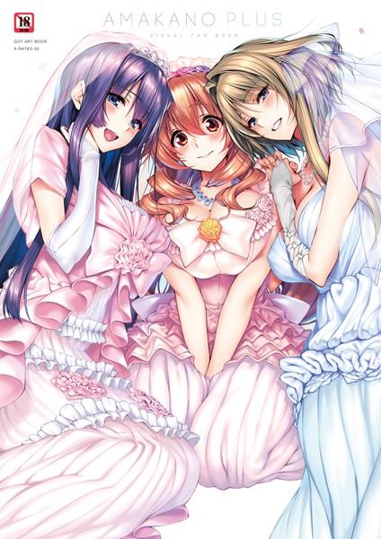 ピロ水|アマカノ＋ ビジュアルファンブック❤単行本 【評価5.00】