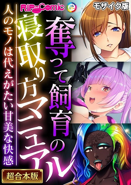 BENETTY|奪って飼育の寝取り方マニュアル 〜人のモノは代えがたい甘美な快感〜【超合本シリーズ】 モザイク版❤フルカラー 【評価】