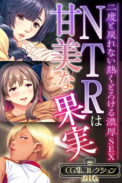 大人のSEXY絵本|NTRは甘美な果実〜二度と戻れない熱くとろける濃厚SEX〜【CG集コレクションBIG】❤単行本 【評価】