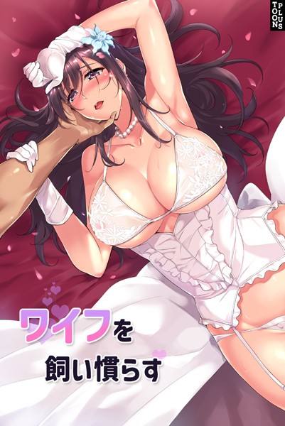 JJM|ワイフを飼い慣らす❤フルカラー 【評価4.20】